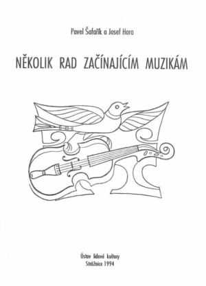 Několik rad začínajícím muzikám